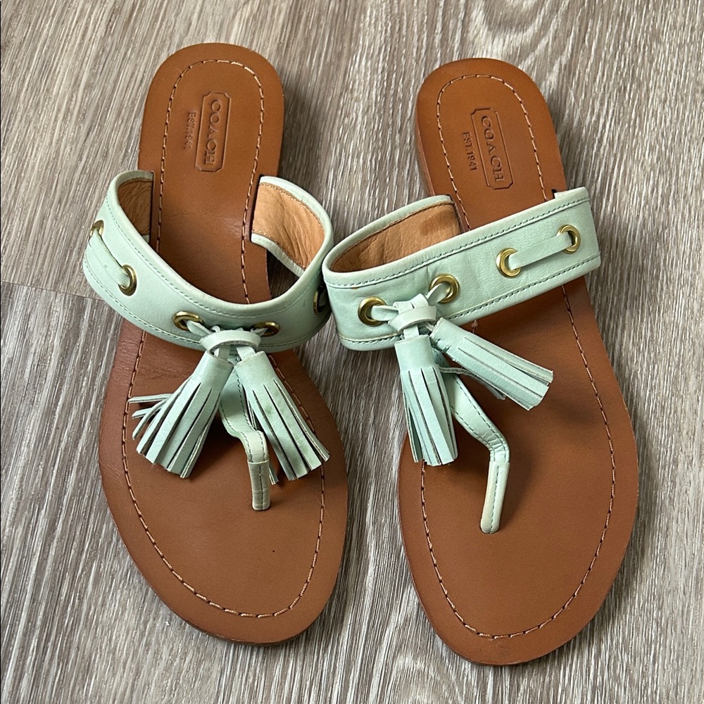 Coach Women's Light Green Tassel Sandals